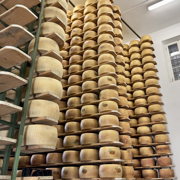 Parmigiano Reggiano DOP stagionato